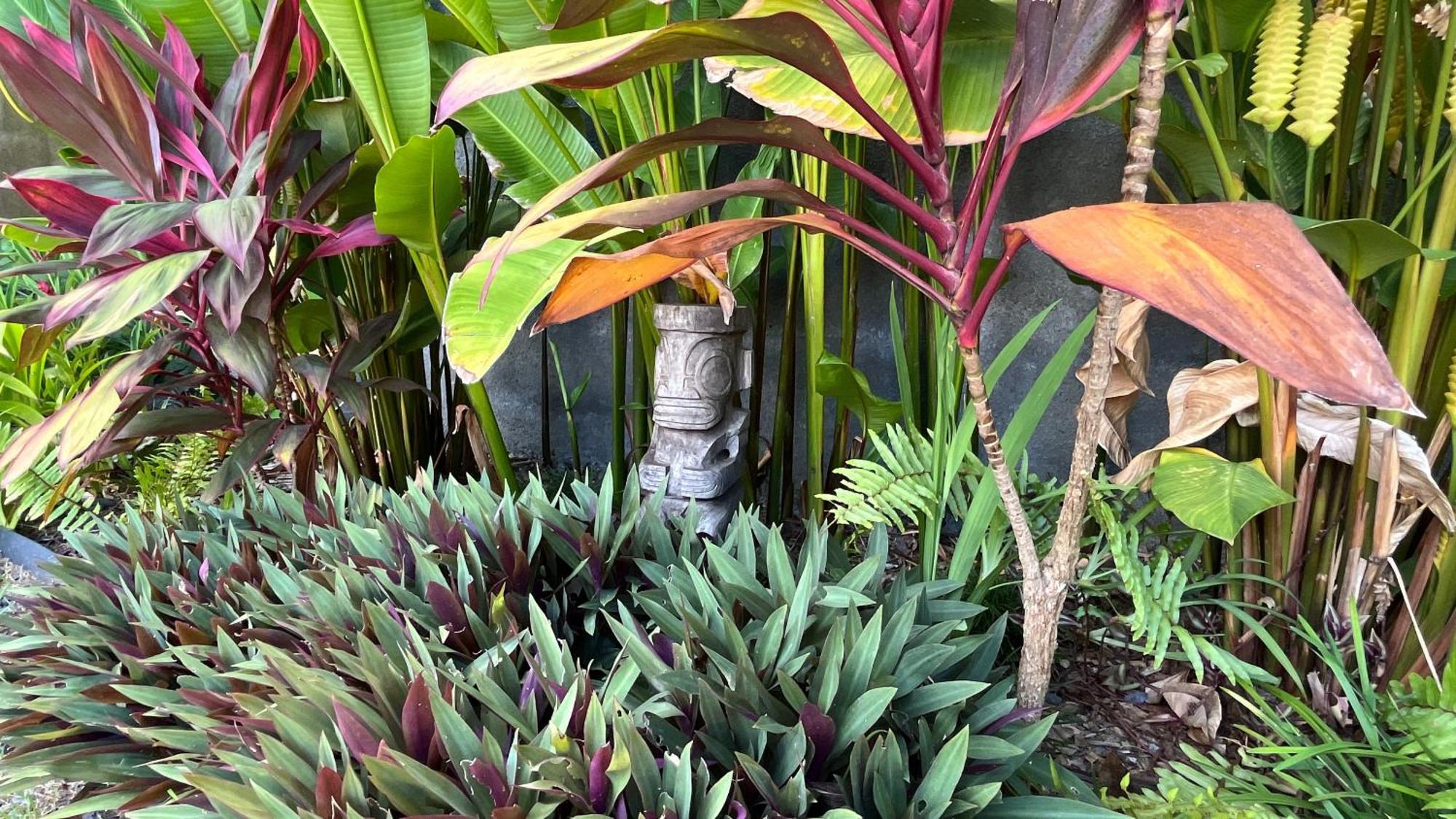 Ononui Lodge Airport, Ocean-View, Private Bathroom And Balcony, Free Wifi And Parking, On-Site Car Rental Faaa Esterno foto