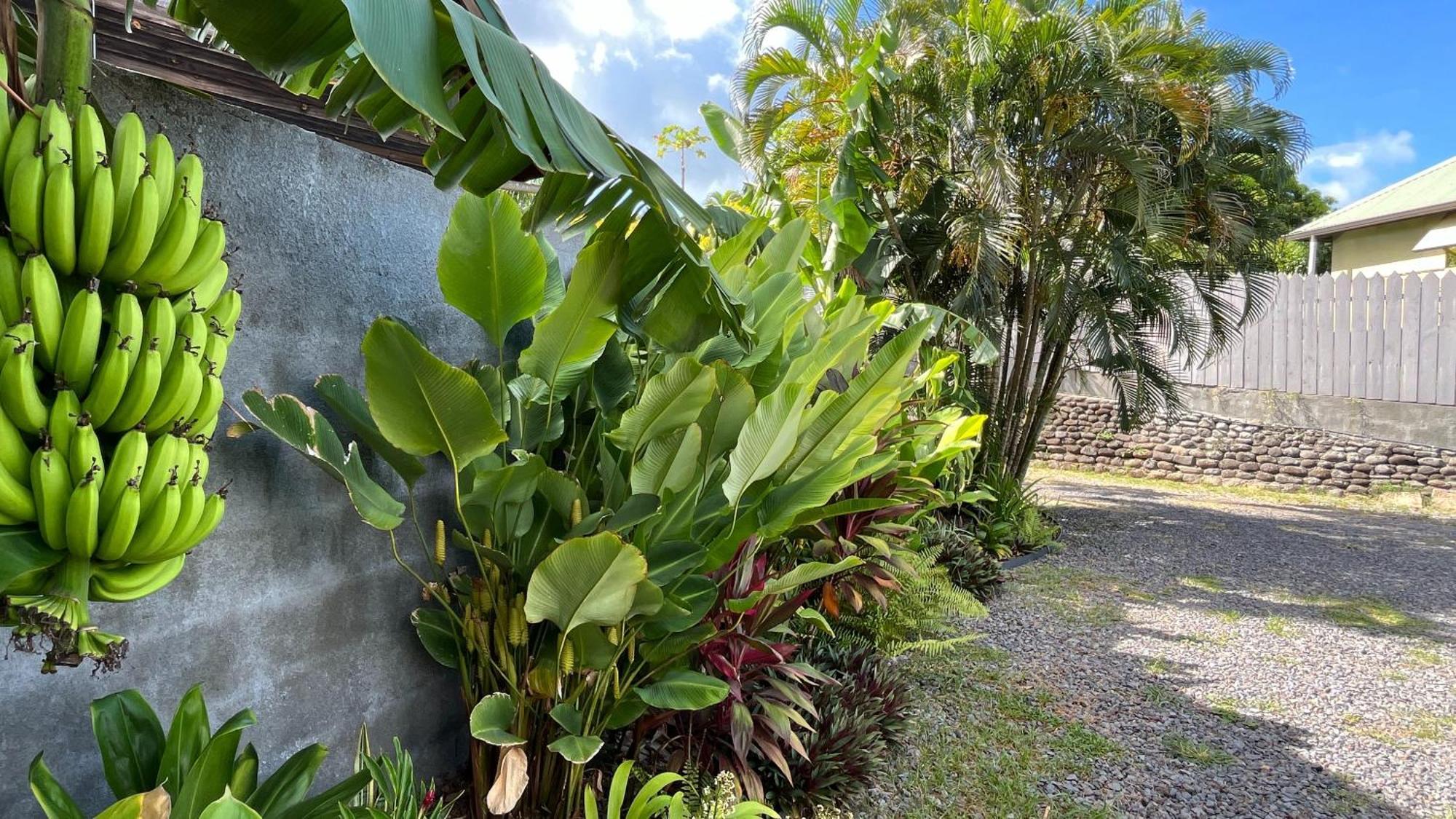 Ononui Lodge Airport, Ocean-View, Private Bathroom And Balcony, Free Wifi And Parking, On-Site Car Rental Faaa Esterno foto